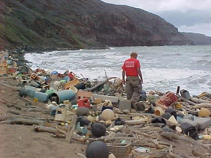 beach cleanup