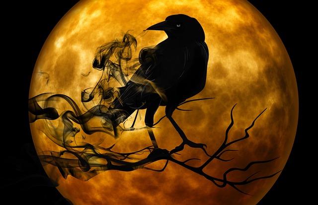 spooky raven