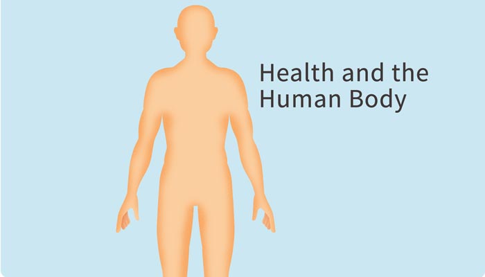 SLU-PP-332 body | Shaanxi BLOOM Tech Co., Ltd SLU-PP-332 body | Shaanxi BLOOM Tech Co., Ltd