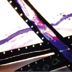 Scratch film clearance