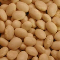 Swelling Beans