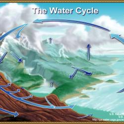 the incredible journey water cycle game
